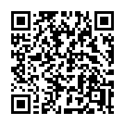 QR code linking to https://deploy-preview-2992--gohugoio.netlify.app/functions/openapi3/unmarshal/